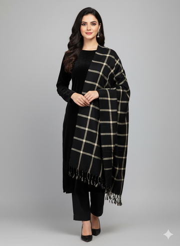 Pashmina Shawl Elegant And Beautiful Banarsi Shawl With Sequence And Velvet Touch Excellent Quality Pashmina